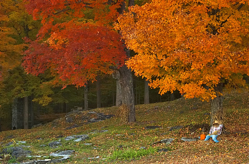 Vermont Autumn Cliche