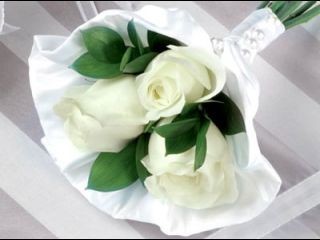 white_rose