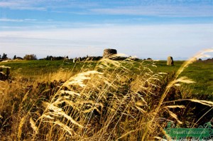 thu trong miên man nỗi nhớ