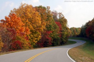 winding-road-autumn-leaves winding-road-autumn-leaves